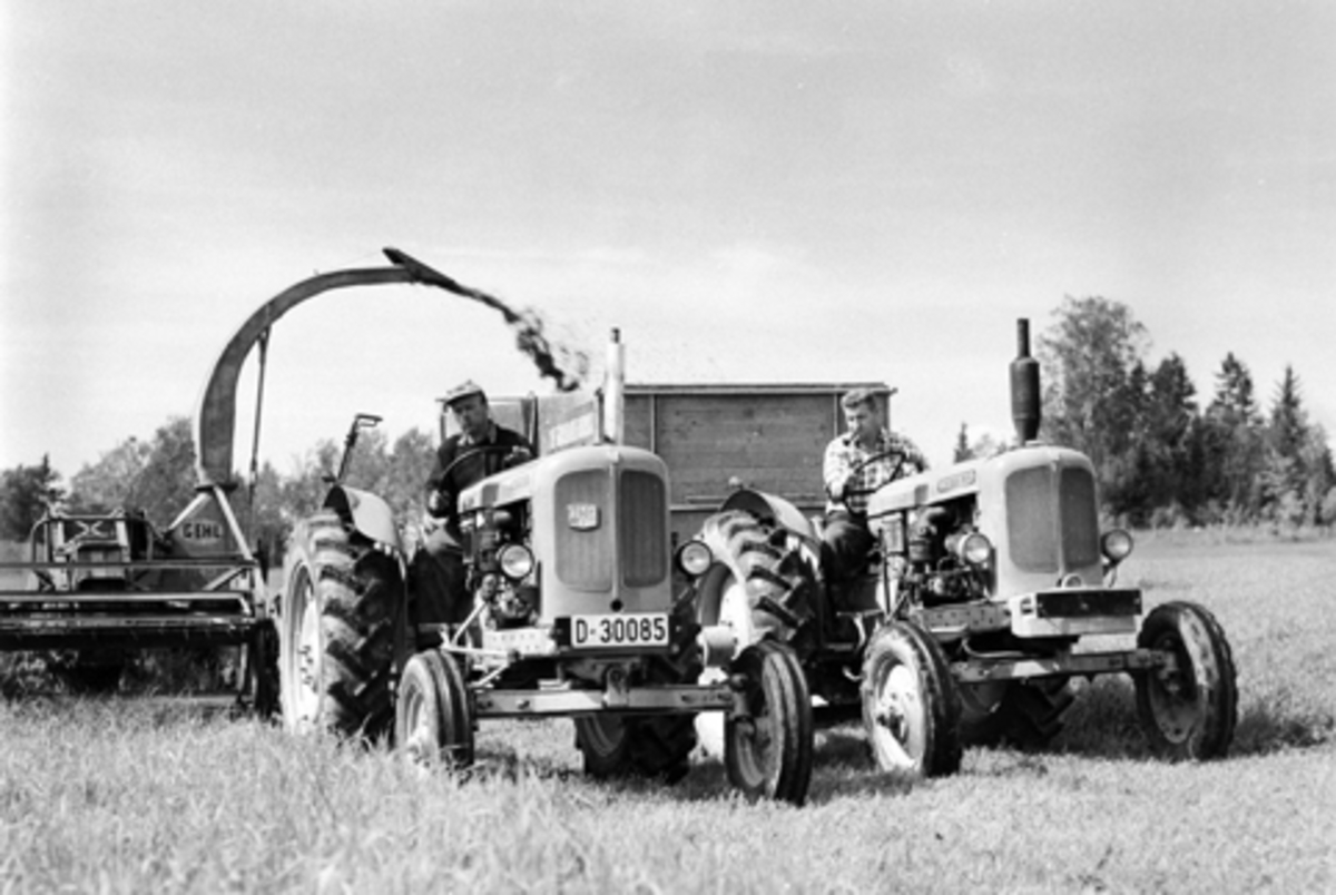Anno Domkirkeodden, Nes grasmjølfabrikk, Nes, Hedmark. Arne Holter kjører forhøster og John Koller kjører unna med traktor og henger. Dette er trolig på Dalby, Ringsaker ca. 1960.
