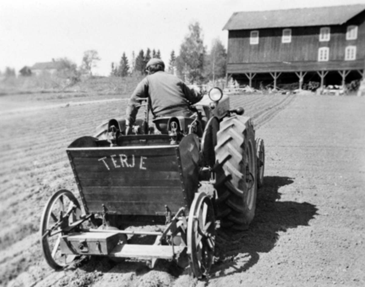 Anno Domkirkeodden, Bjørnstad gård, Nes, Hedmark. Traktor med potetsetteren "TERJE" og fører Erling Feiring (1915-1988), Produsert av smed Haavie.