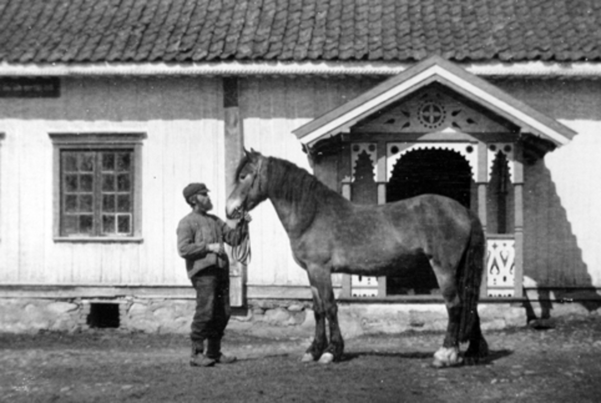 Anno Domkirkeodden, Gamle Ole Stallkar med hest på Mørkved store, Ringsaker i 1917.