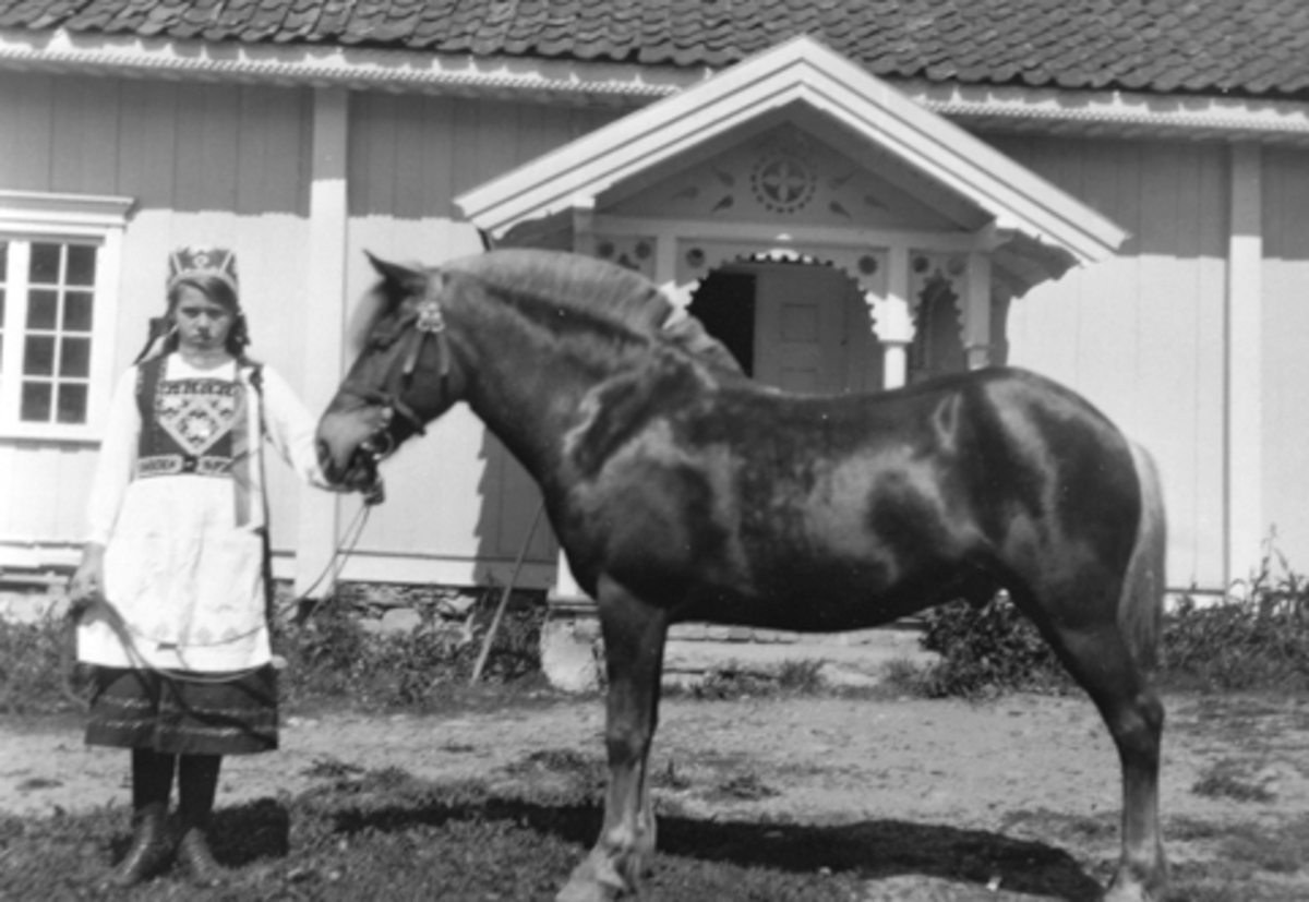 Anno Domkirkeodden, Marie Lier i hardangerbunad med hesten "Sussen" på Mørkved store, Ringsaker.