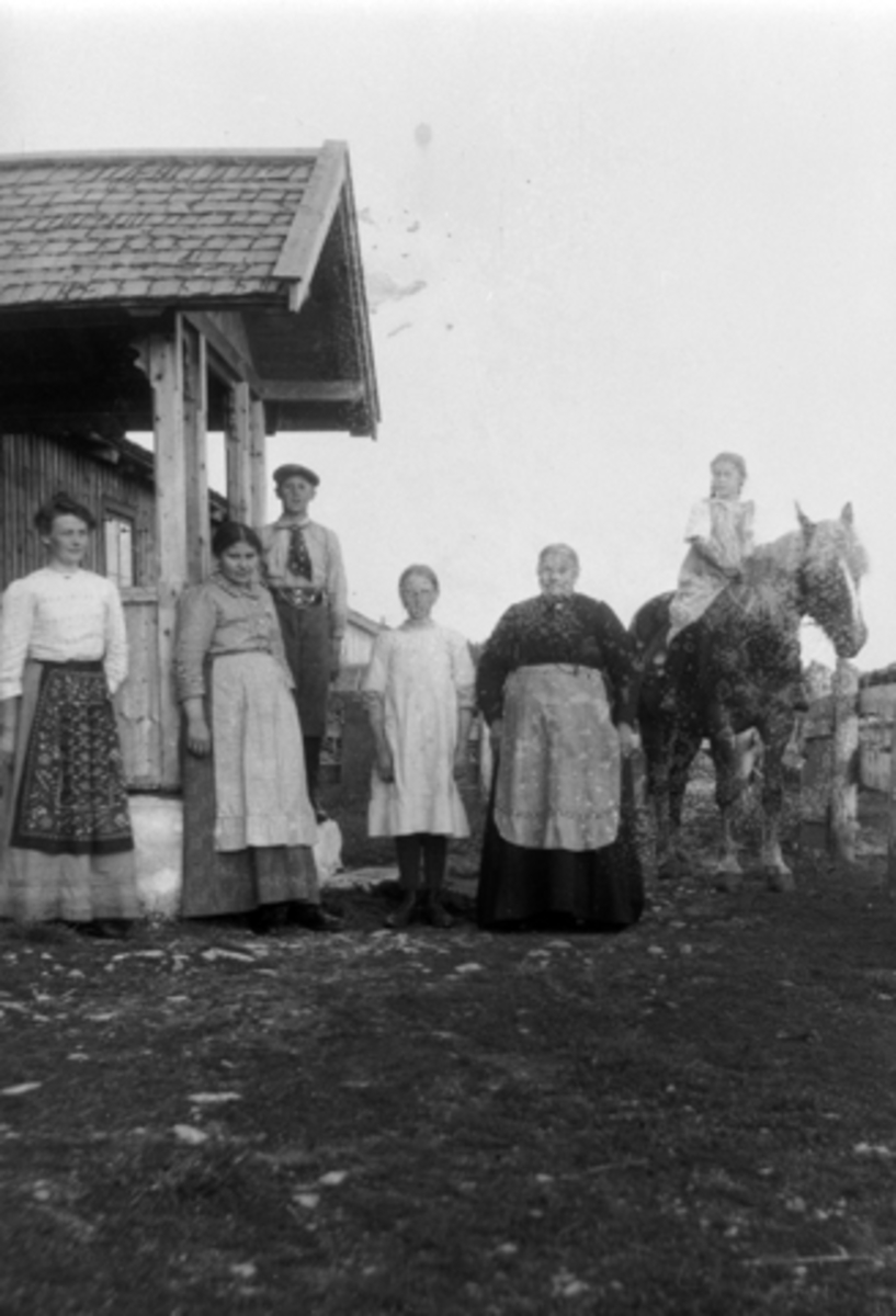 Anno Domkirkeodden, Nysetra på Øyungen i 1909. Oline Finstad gift Almerud, Dina Lier født Mørkved, Per Lier, ukjent, Marie Mørkved født Wea,. På hesteryggen er Marie Lier gift Skyberg.