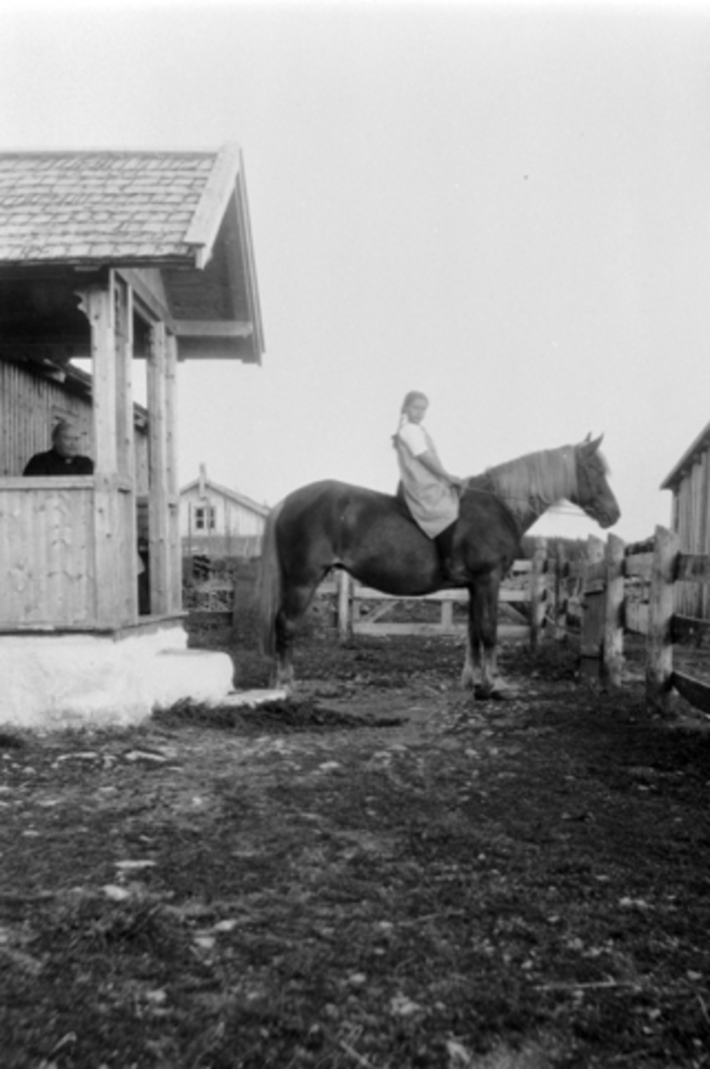 Anno Domkirkeodden, Nysetra på Øyungen i 1909. På verandaen på størhuset til Mørkved store er Marie Mørkved født Wea. På hesteryggen er Marie Lier.