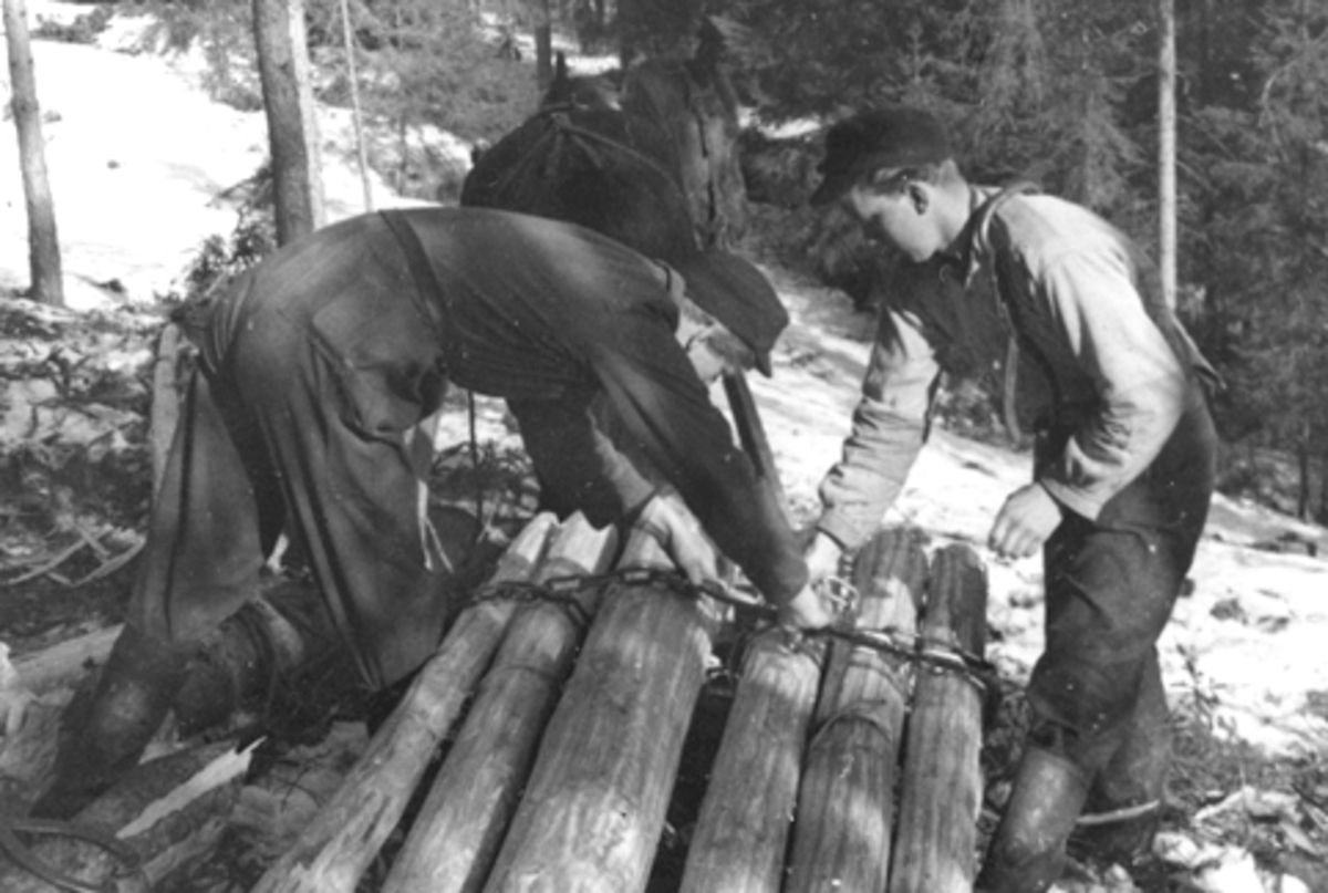Anno Domkirkeodden, Tømmerlunning med hest. Skogsarbeid. Mannen til høyre er Odmar Bakken.