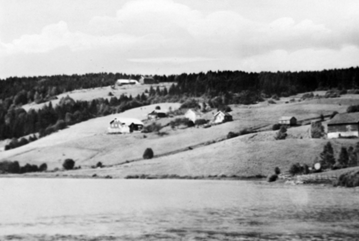 Anno Domkirkeodden, Thorud. Landskap ved Stavsjøen. I åsen bak er garden Øvern der alle husene nå er revet. Låven i Thorud er også revet og driftsbygningen er bygd nede ved vannet. Låven i Hovelsrud til høyre.