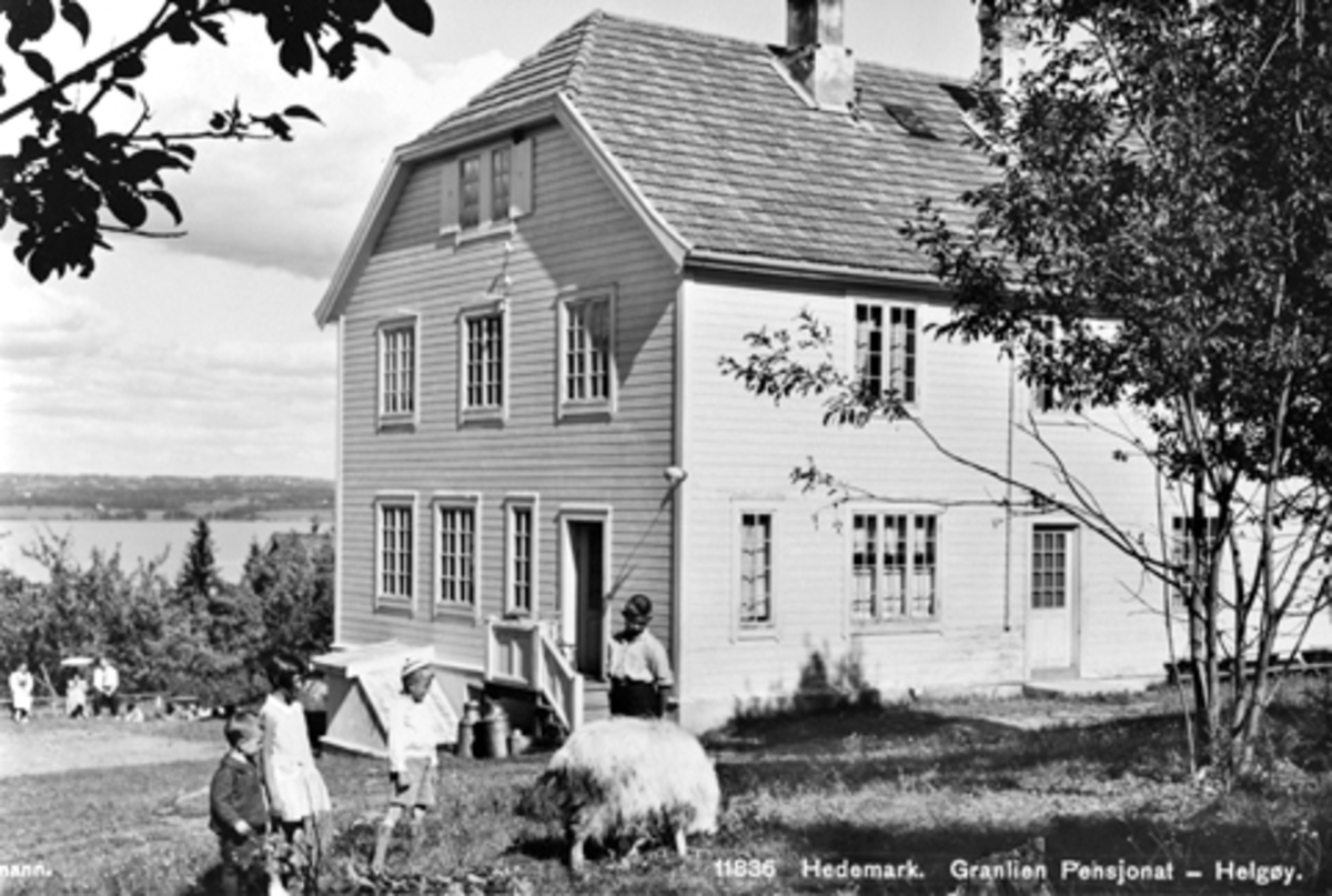 Anno Domkirkeodden, Postkort, tekst "11836 Hedemark. Granlien pensjonat - Helgøya". Feriested for Hamar Handels og Kontorfunksjonærers Forening, flyktningehjem etter 2. verdenskrig, Helgøya.