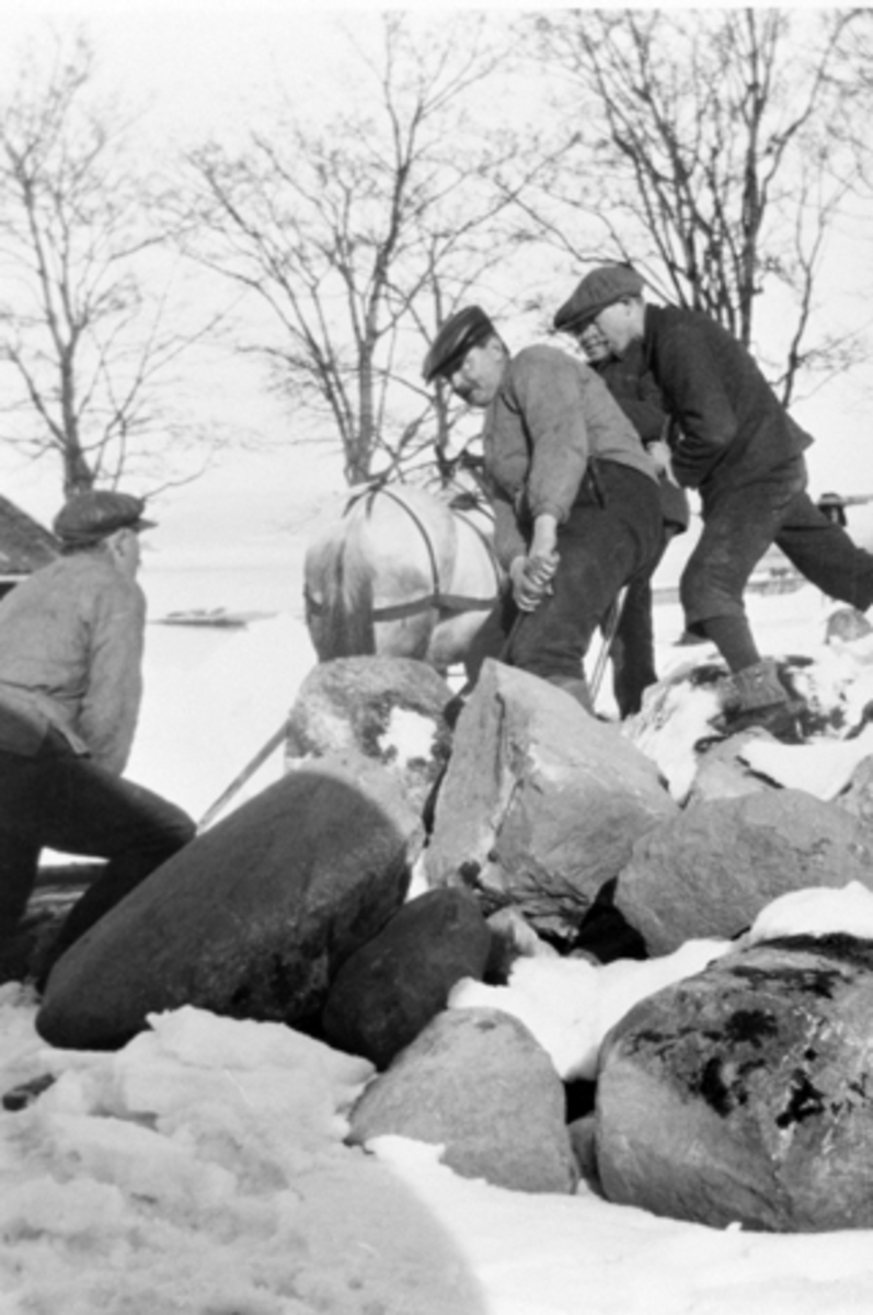 Anno Domkirkeodden, Kjøring av stein med hest og slede vinterstid på Toftes Gave, Nedre Sund, Helgøya.