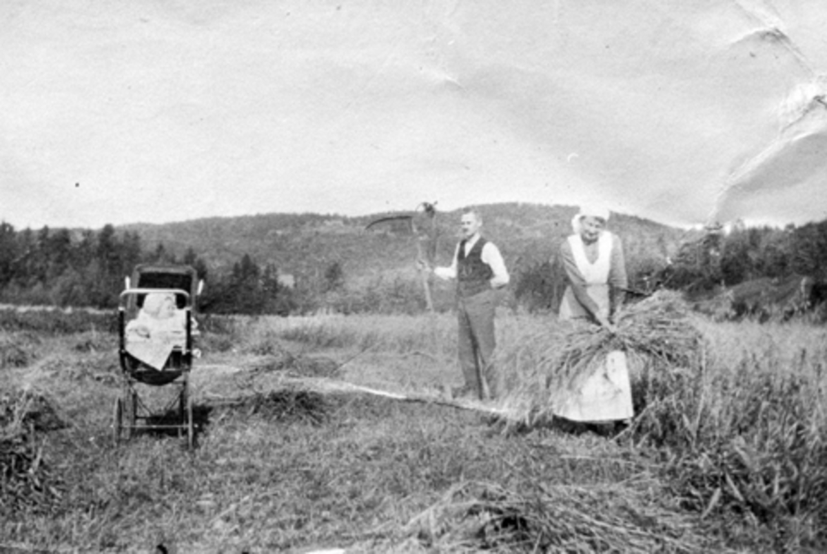 Anno Domkirkeodden, Skuronn på gammeldags måte på Penningrud lille, Stavsjø, Hedmark. Lærer Johan Torud (1880-1963) med ljå og Borghild Torud (1890-1946) binder kornband. Minnie Johanne f.1917 i barnevogn.