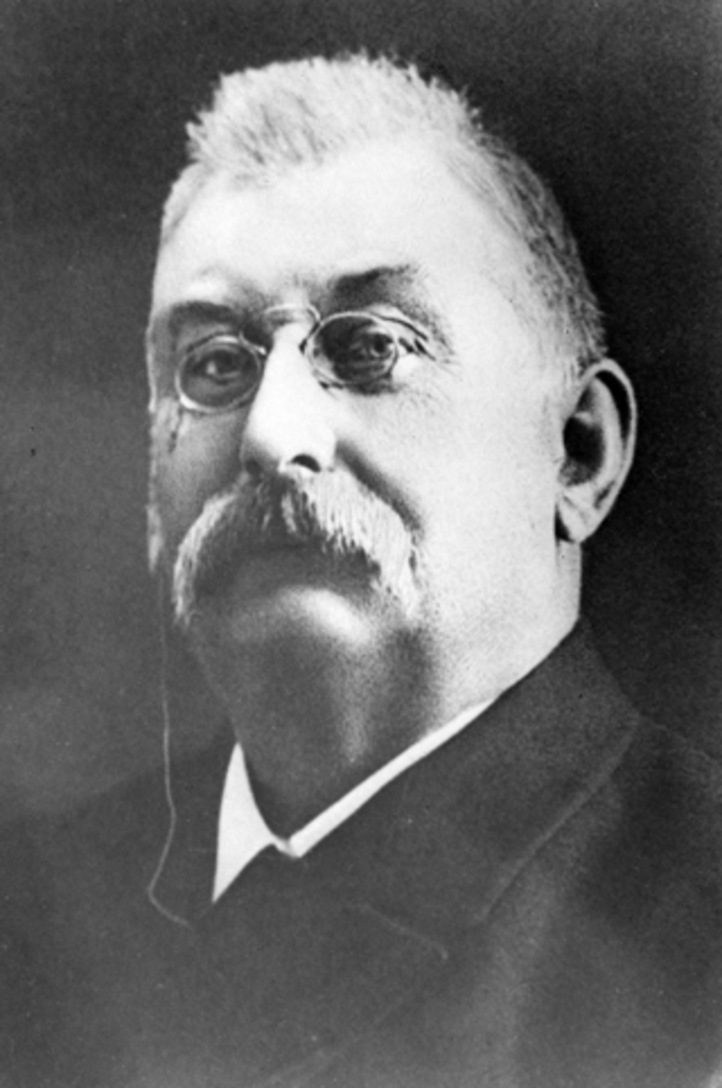Anno Domkirkeodden, Portrett av Johan Weiner Krohn Holm på Tandem (1848-1918), Nes, Hedmark. Fattiglege og ordfører i helserådet fra 1872. Distriktslege på Hedemarken fra 1906. Bygde opp klinikken for alkoholikeere og morfinister på Tandem.