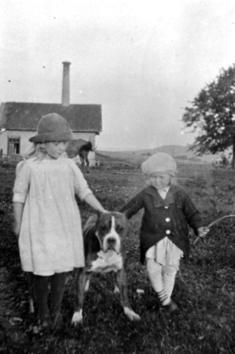 Anno Domkirkeodden, To barn med hund på Hoel gård, Nes, Hedmark. September 1915.