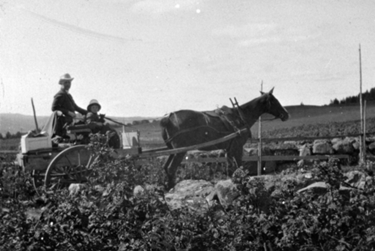 Anno Domkirkeodden, To ukjente personer med hest og vogn. På vei til Lille-Moste som er setra til Hoel gård, Nes, Hedmark.