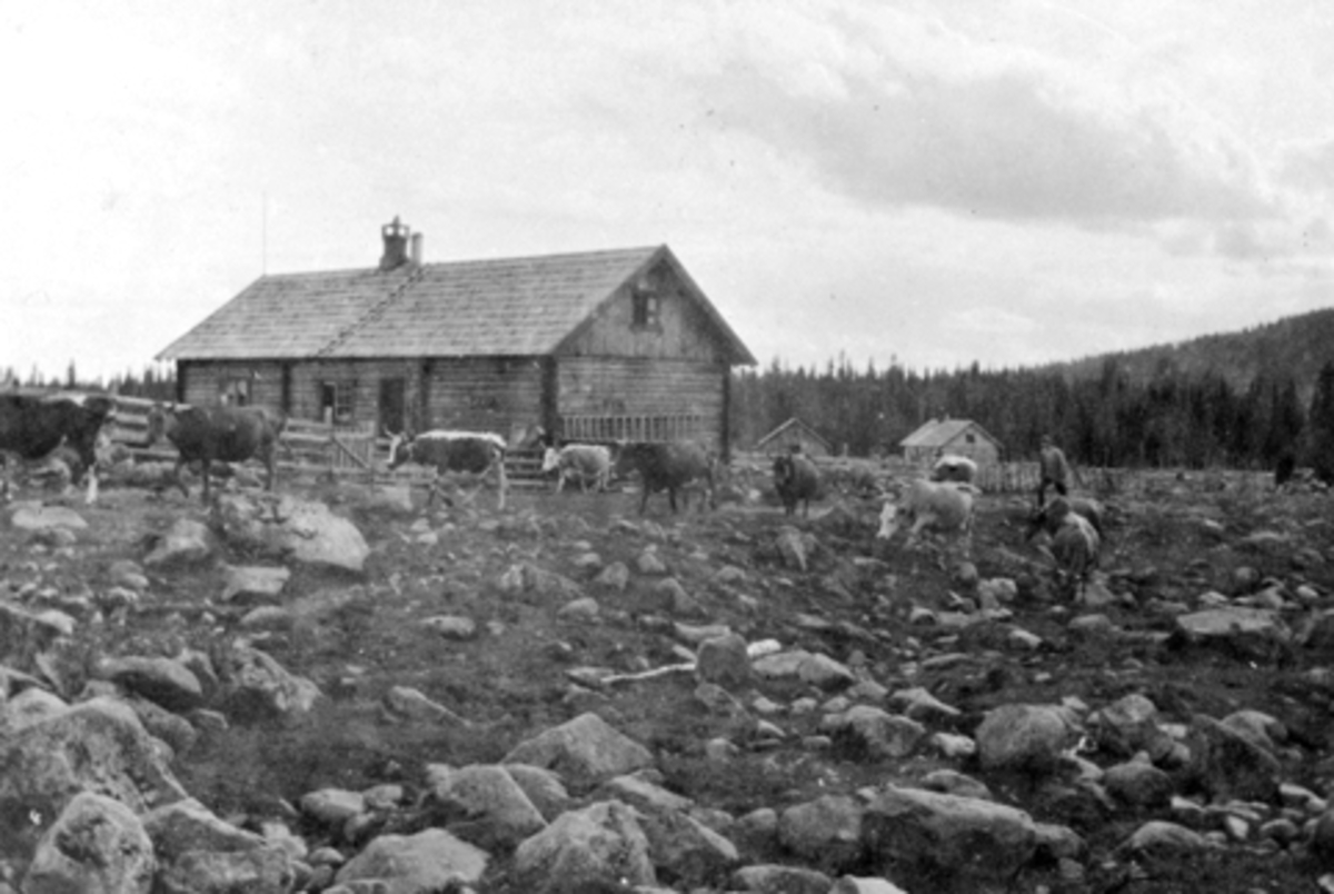 Anno Domkirkeodden, Størhuset på Lille Moste seter. Hoel gård, Nes, Hedmark sin seter.