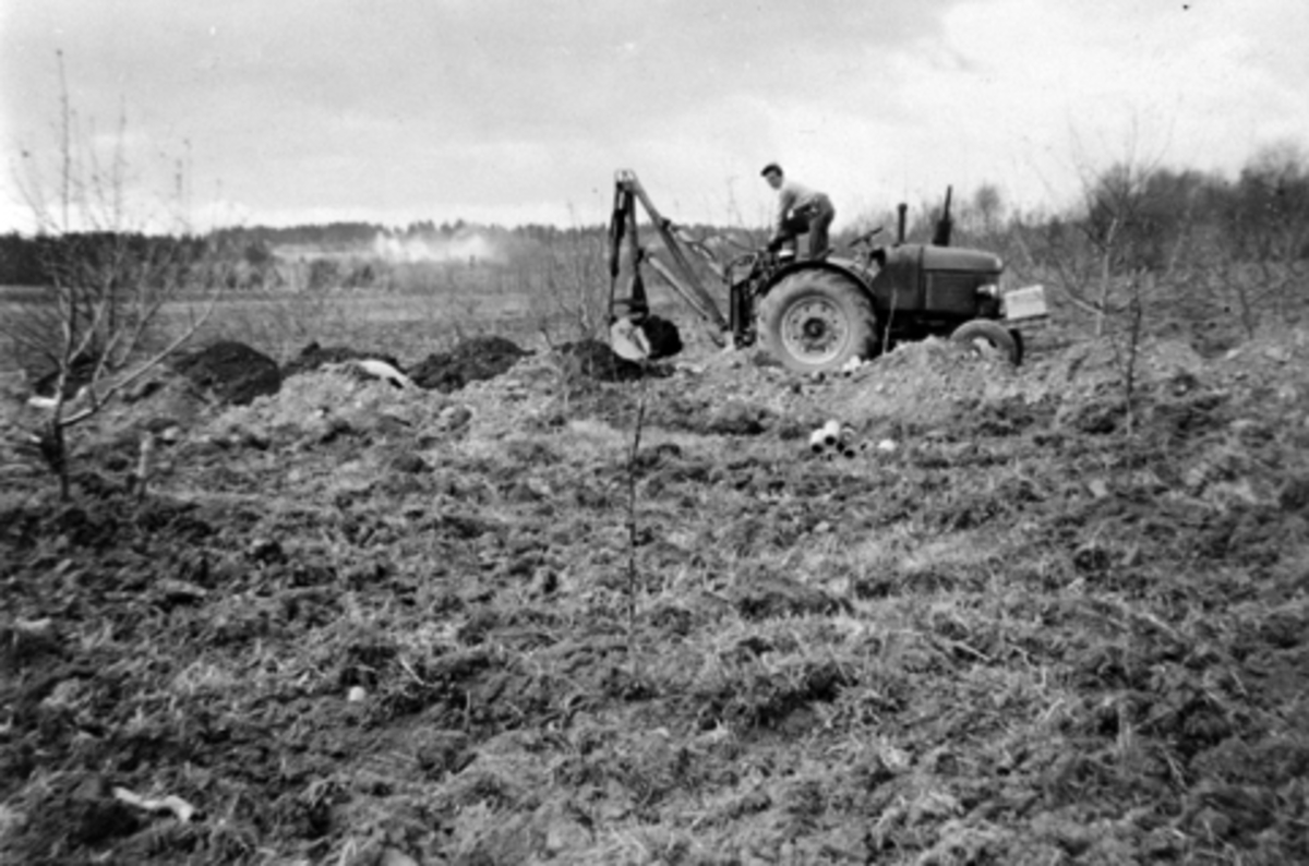 Anno Domkirkeodden, Arne Eriksrud (1931-1991) med den første hydrauliske traktorgraver på Nes, Hedmark. Grøfting på Sølvsberg.