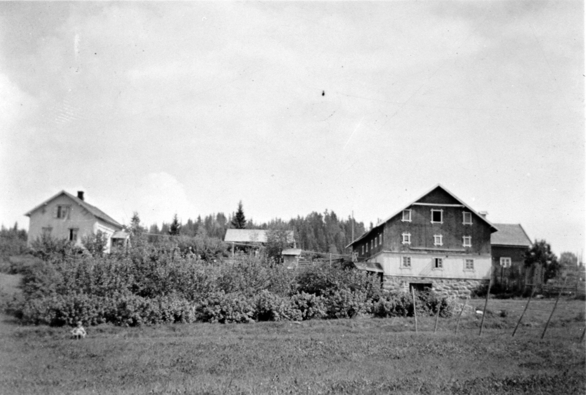 Anno Domkirkeodden, Gardsbruk, Lille-Kjennli, Nes, Hedmark.