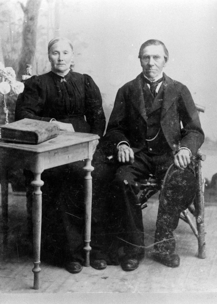 Anno Domkirkeodden, Anders Anders Jonsgård 1821-1900) med kone Karen Tollefsdatter (1834-1926), Johnsgård, Nes, Hedmark.