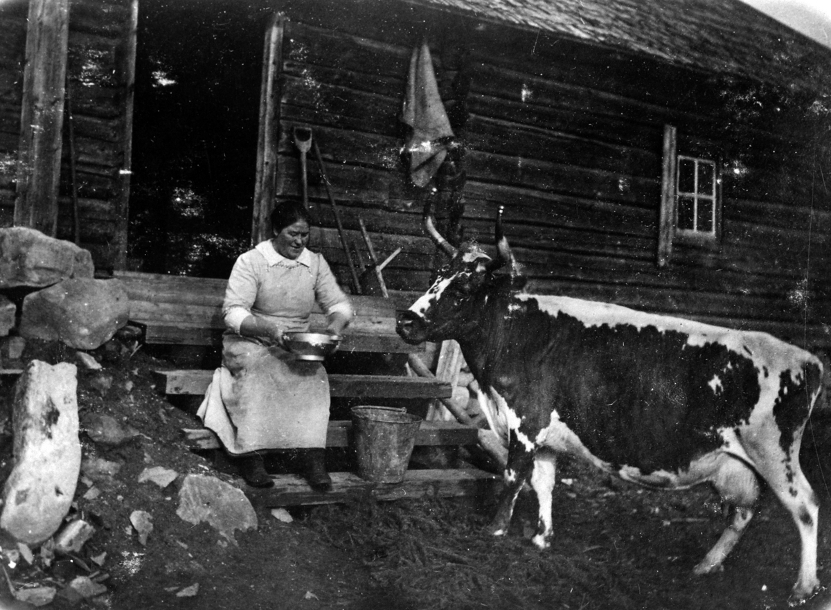 Anno Domkirkeodden, Gønner Olsen, meierske, Nysetra, 1909-10, Ringsaker.RINGSAKER