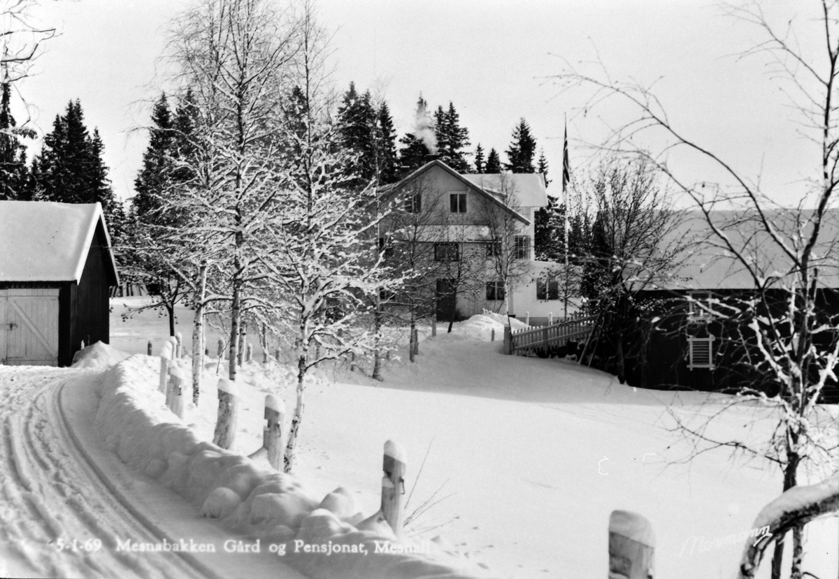 Anno Domkirkeodden, Mesnabakken gard og pensjonat, 1940-50, Ringsaker.