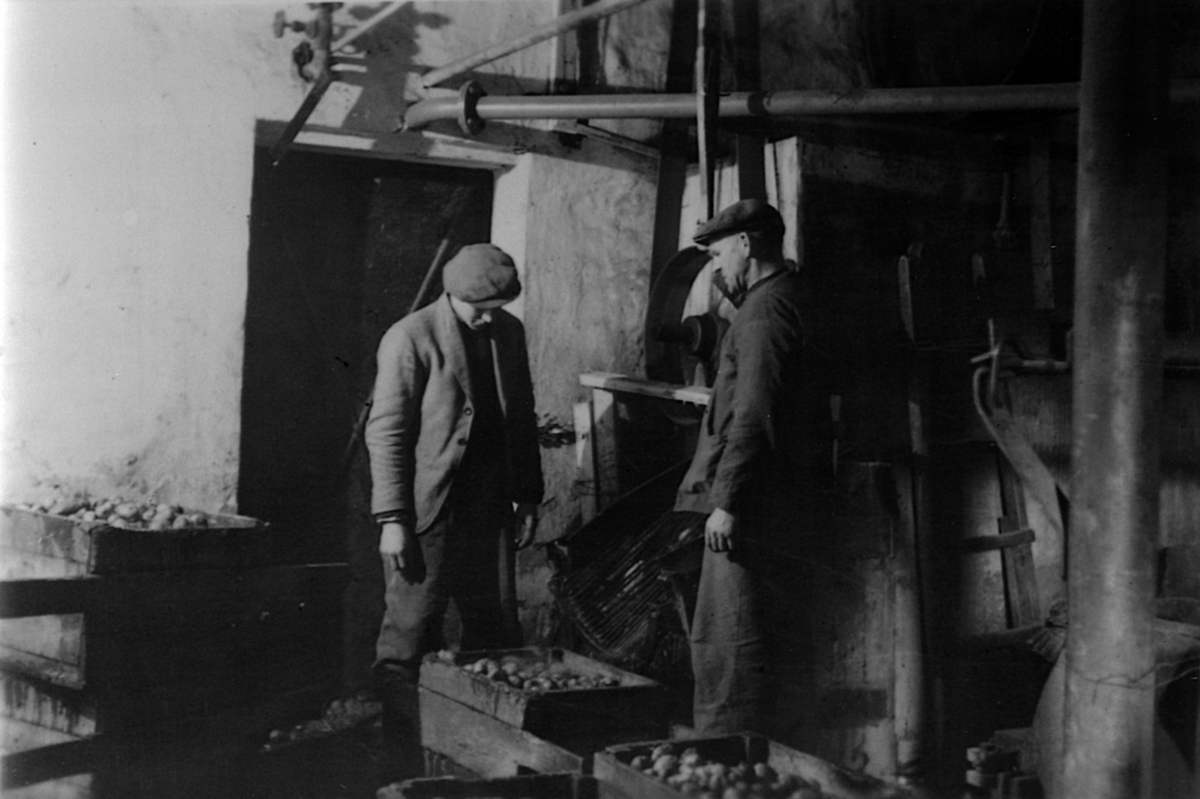 Anno Domkirkeodden, Potetkoking på Strand Brænderi i 1943-44. Til høyre er Einar Simensen.
