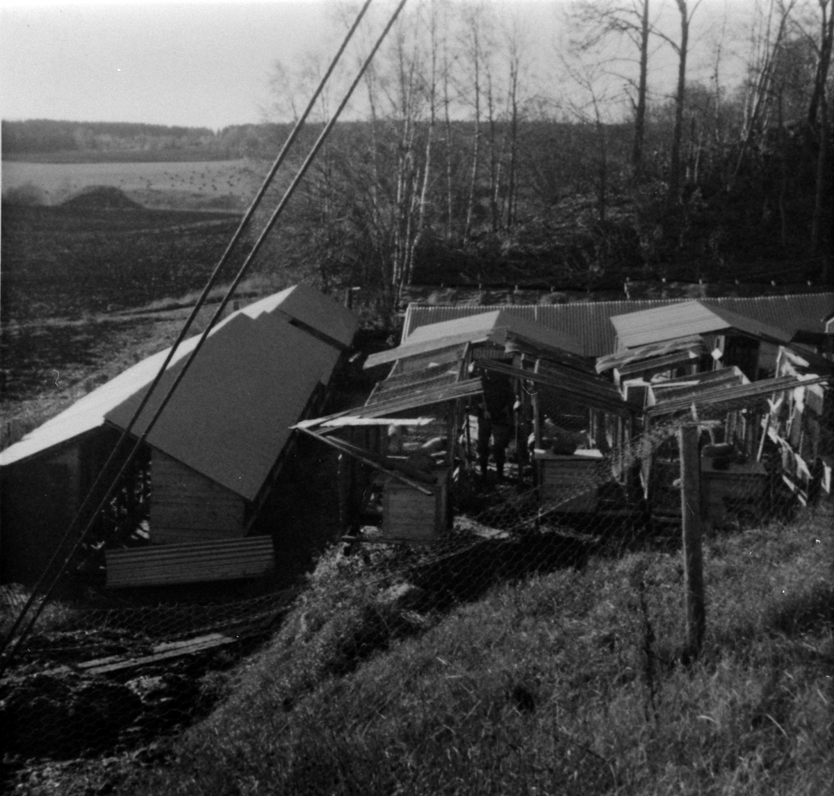 Anno Domkirkeodden, Pelsdyrgården, Haugen, Veldre, Ringsaker. 1970.