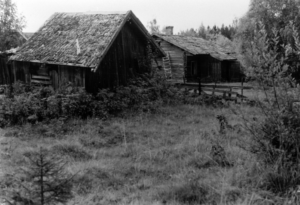Anno Domkirkeodden, Husmannsplassen Myre på Torsæter gard, Veldre, Ringsaker.