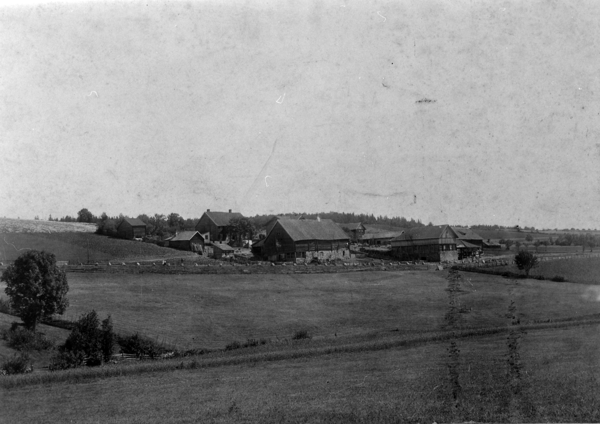 Anno Domkirkeodden, Sølvsberggardene, ca. 1900, gamle trehus, landskap, Nes, Hedmark.