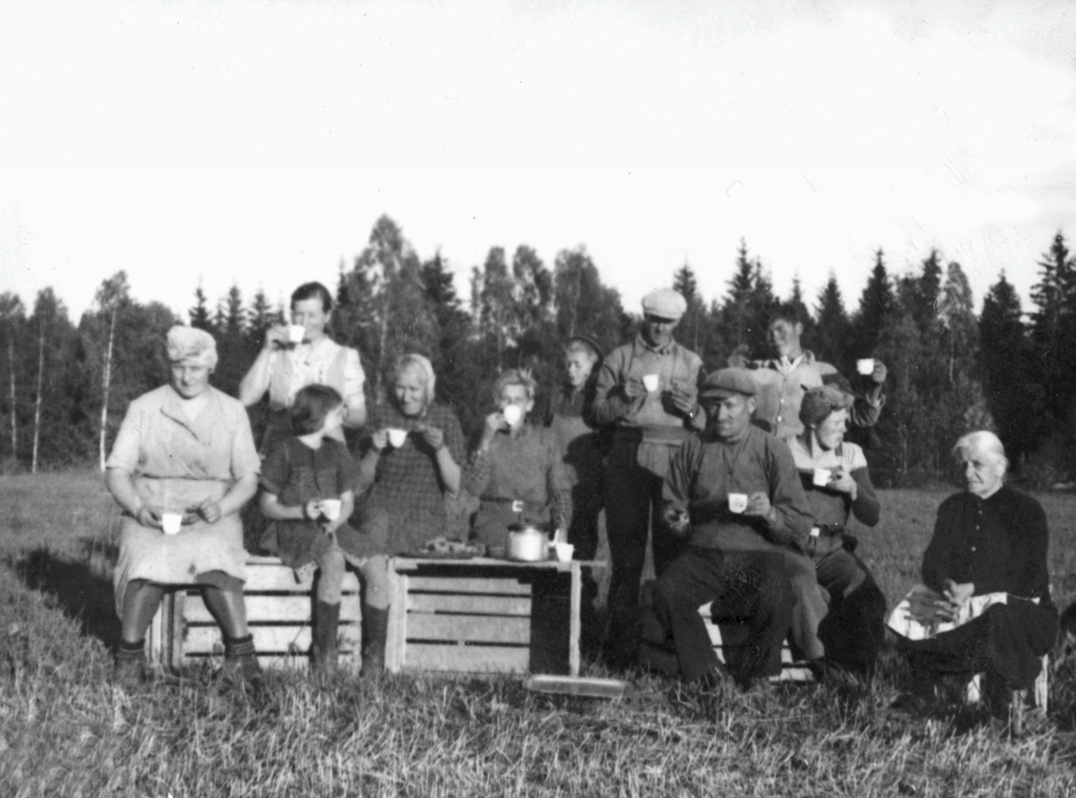 Anno Domkirkeodden, Kaffepause i potetonna på Purkilstad, Stavsjø, Hedmark.