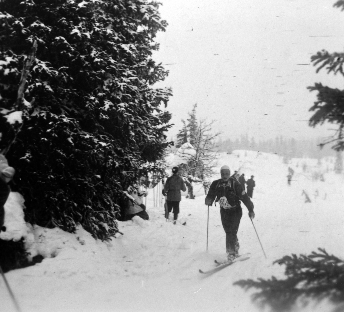 Anno Domkirkeodden, Trygve Sønsteby (F. 1921), i Kvarstadseterlia, Birkebeinerrennet 1947, første og eneste gang han gikk fra Rena.