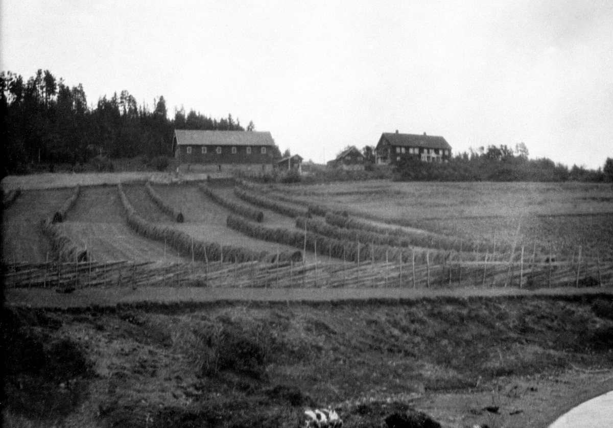 Anno Domkirkeodden, Eksteriør gardsbruk. Høyhesjer og skyveskigard. Sterud nordre, Nes, Hedmark.