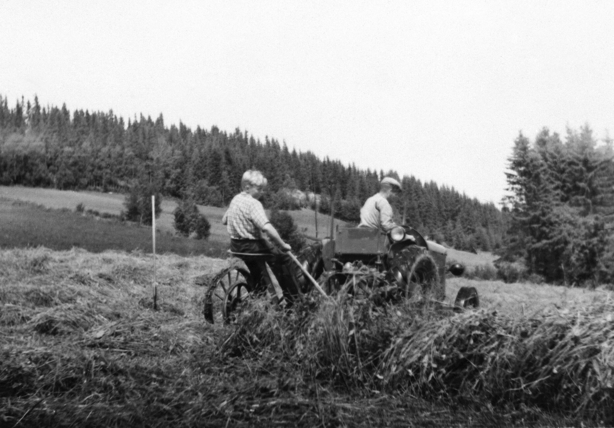 Anno Domkirkeodden, Slåttonn i Pinnerudenga, Furnes, Ringsaker i 1954. Olav og Leif Lunna kjører traktor med slåmaskin med håndavlegger.