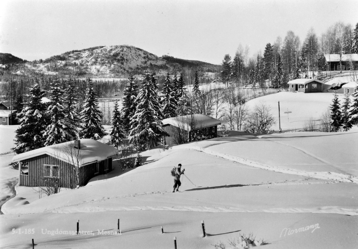Anno Domkirkeodden, Mann på ski i vinterlandskap på Mesnalia, Ringsaker.