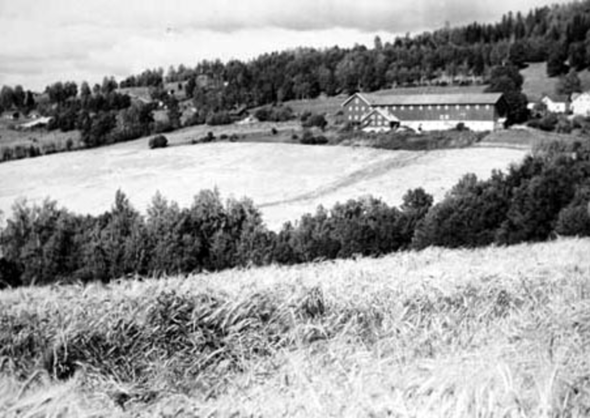 Anno Domkirkeodden, Eksteriør, Tørud gard, Brumunddal.