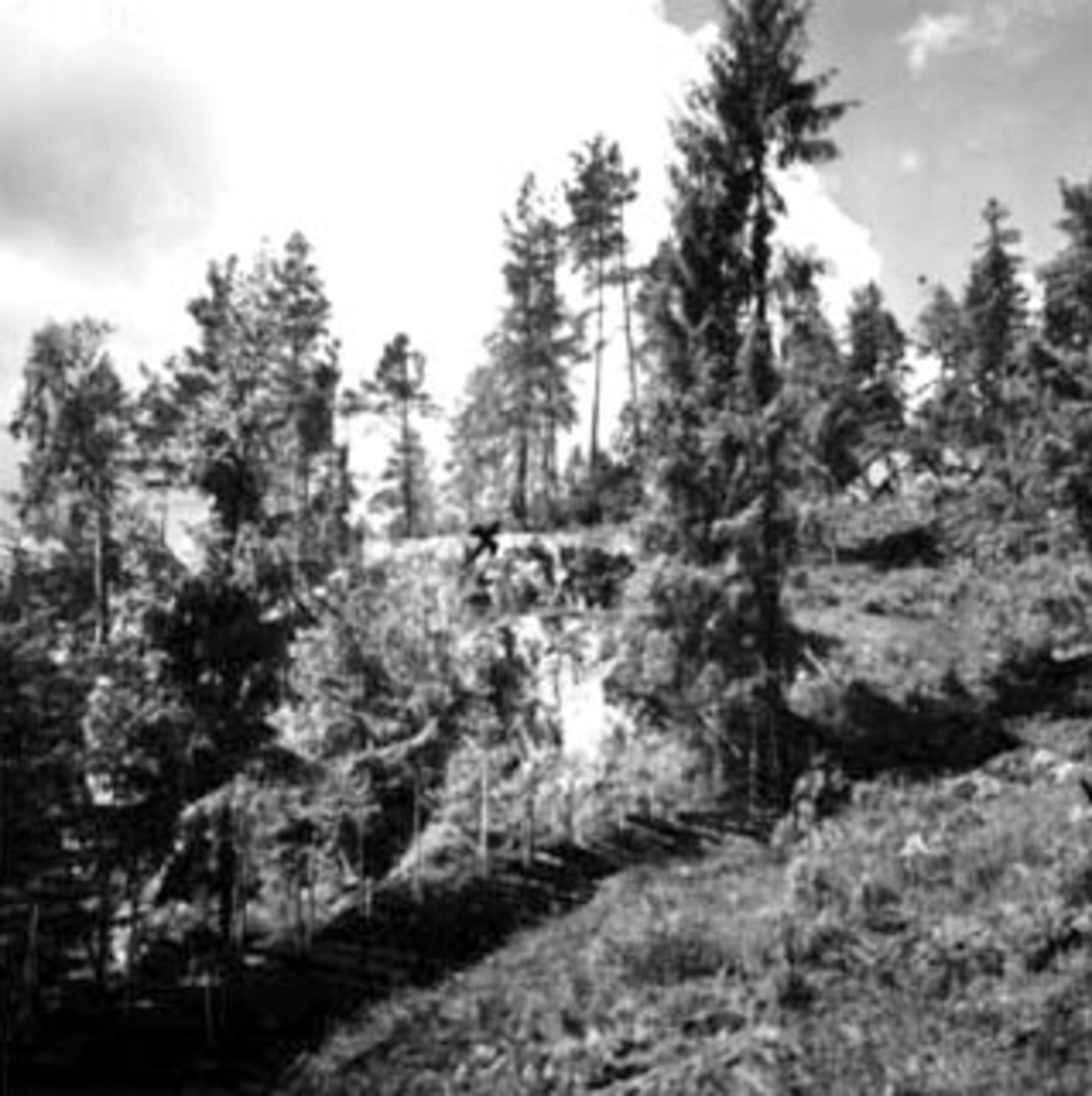 Anno Domkirkeodden, Domstuguberget, prestergardsskogen, bygdeborg fra folkevandringstiden. Oppmålt av Anders Hagen fra universitetets oldsaksamling i juni 1943.