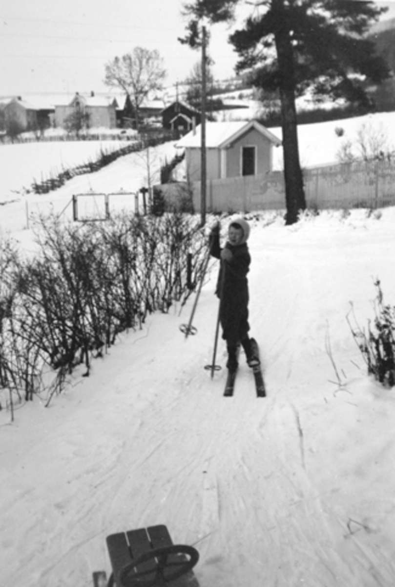 Anno Domkirkeodden, Nersnippen, Veldre, Ringsaker, Anders Ole Hauglid på ski.