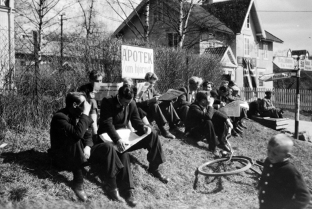 Anno Domkirkeodden, Elever fra Vea Hagebruksskole, Moelv leser aviser, 17. mai 1945, fredsdager.