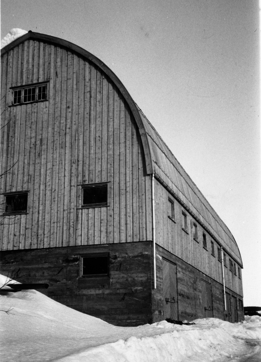 Anno Domkirkeodden, Flunkende ny låve i Medlien gård, Næroset, Ringsaker i 1960. Spesielle buede åser fra Moelven Laminator (senere limtre). Et stolt landemerke i bygden.