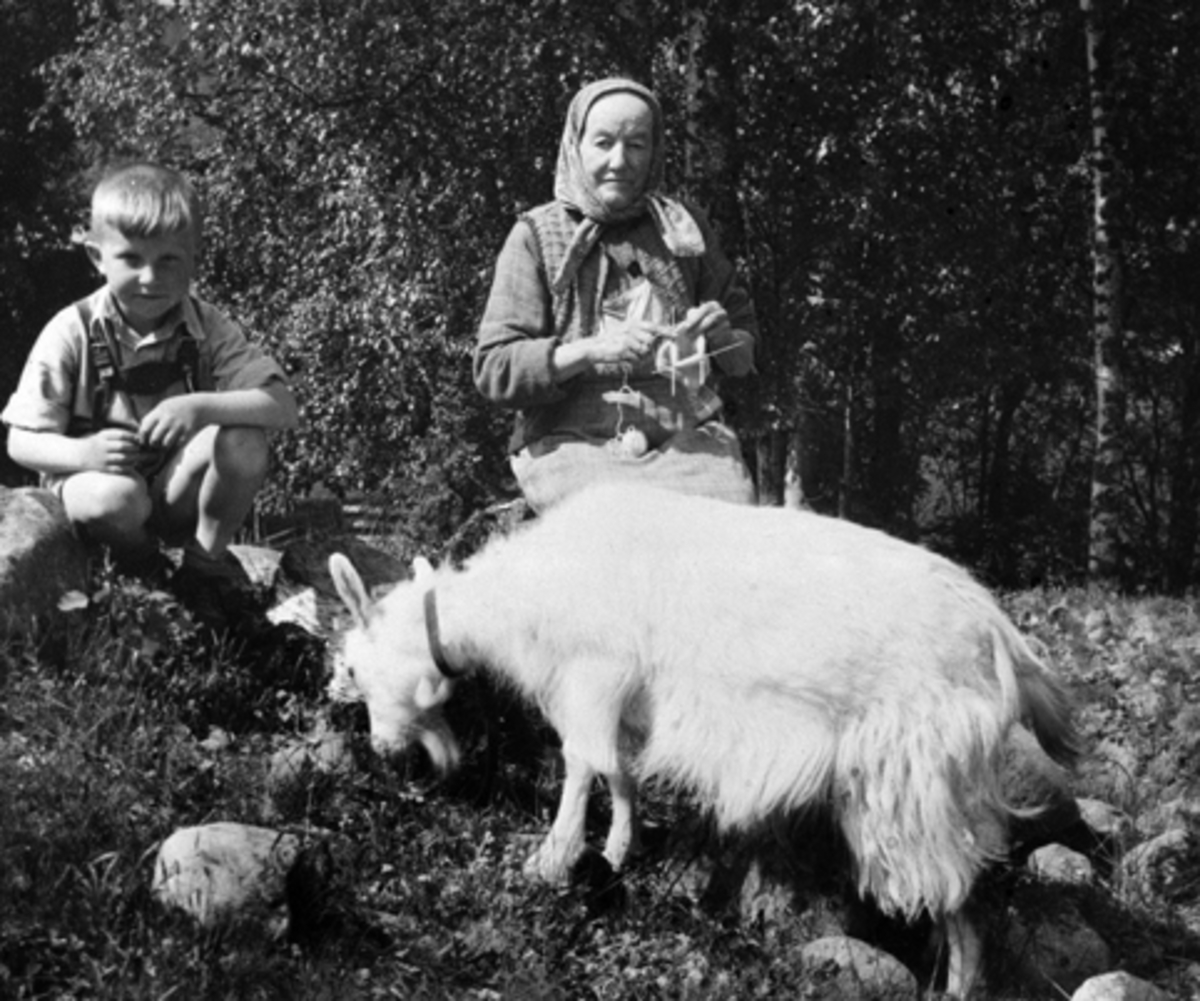 Anno Domkirkeodden, Simen Schjerpen på besøk hos sin bestemor Oline i Grindalen som sitter med håndarbeit. Geit følger med. Bildet er tatt i 1945.
