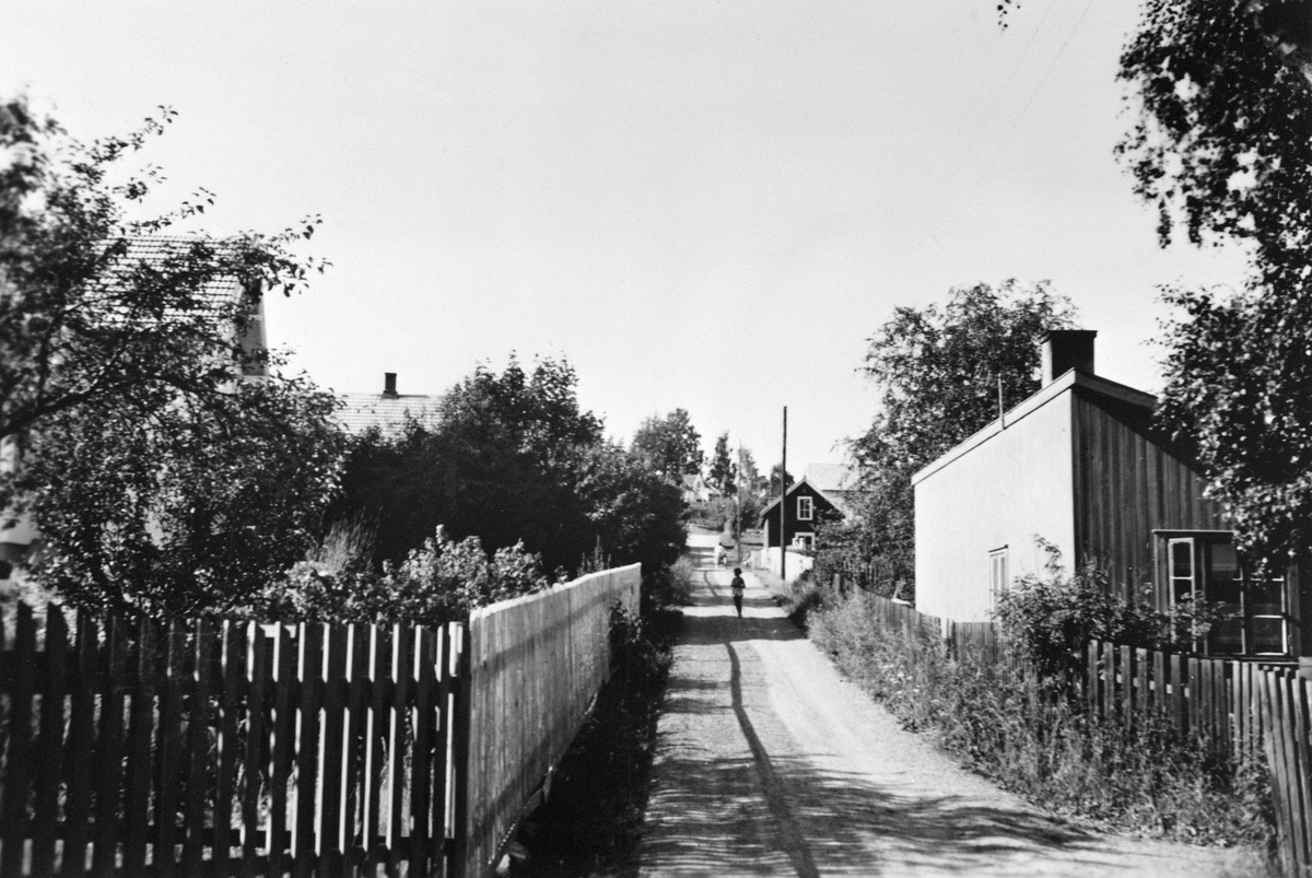 Anno Domkirkeodden, OVERSIKT SANGLUNDVEGEN, GUTU, GJERDE PÅ BEGGE SIDER, SOLVANG