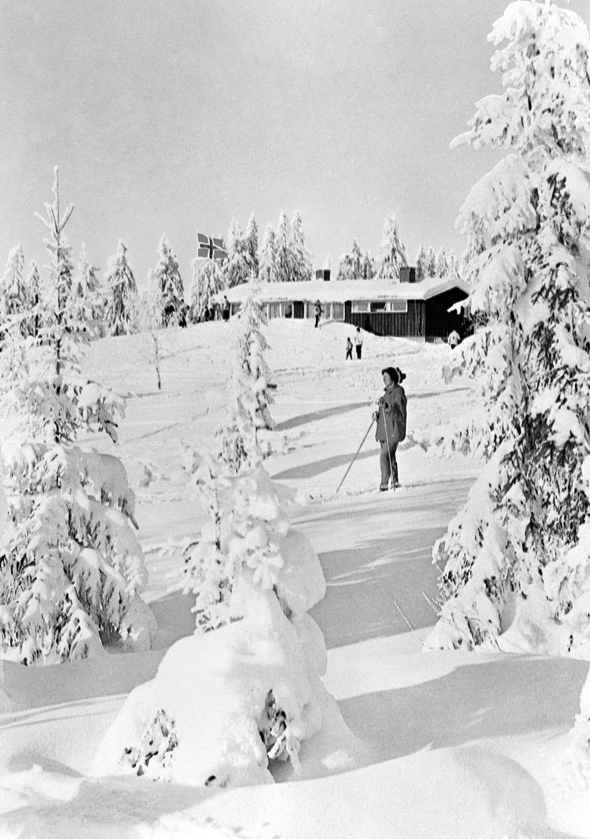 Anno Domkirkeodden, LAGERÅKVISLA, VINTER, SKILØPERE, VANGSÅSA