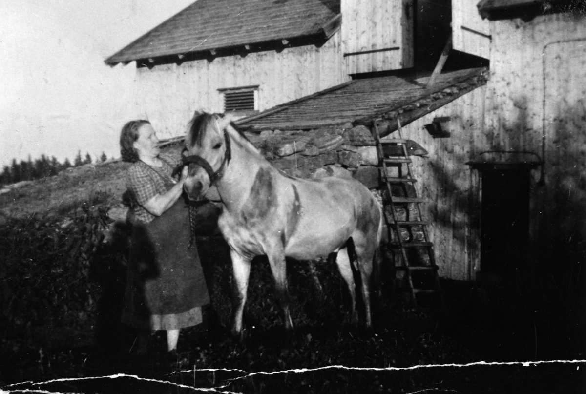 Anno Domkirkeodden, ANNE OLSEN HAUGEN MED HESTEN BLAKKEN FORAN LÅVEN, LÅVEBRUA, HAUGEN UNDER ÅLSTAD