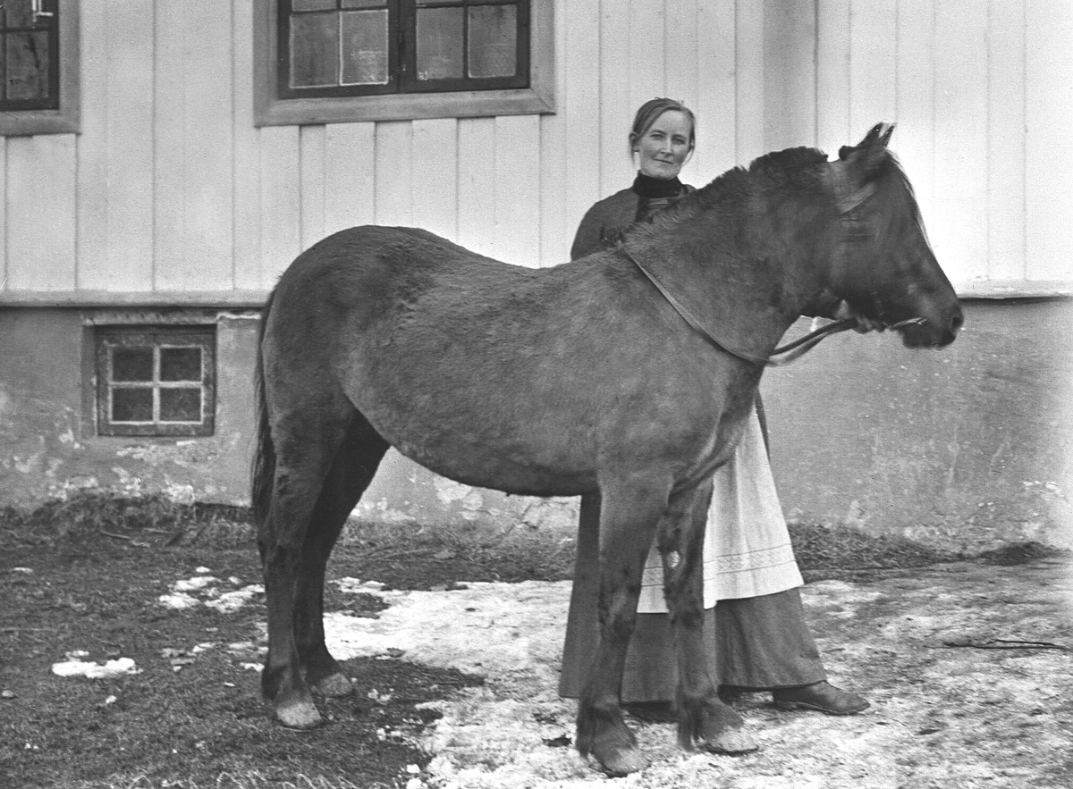 Anno Domkirkeodden, ANNE SKRAMSTAD MED HESTEN MUSA, SKRAMSTAD VESTRE