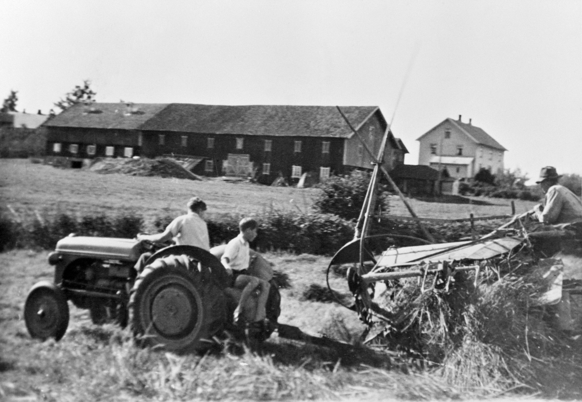 Anno Domkirkeodden, SKURONN, LEO BUSTERUD KJØRER FERGUSON TRAKTOR KJØPT I 1946, EINAR BUSTERUD PÅ SELVBINDER MED STAVHASPEL, DÆLID, BLYSTAD GARD I BAKGRUNNEN