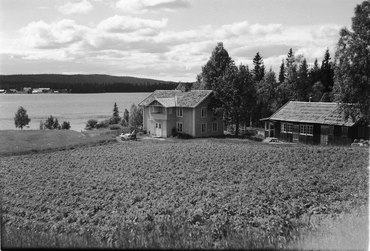 Håkon Prestkværn, Haug gård. Sør-Mesna. Mesnalia. Kulturlandskap.