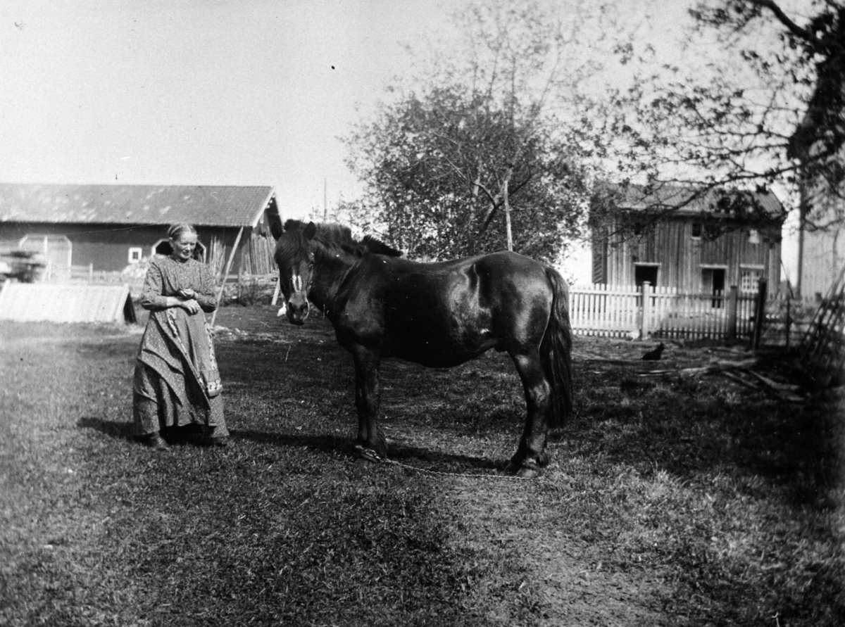 Anno Domkirkeodden, KVINNE PÅ TUNET, HEST, INGEBERG STORE