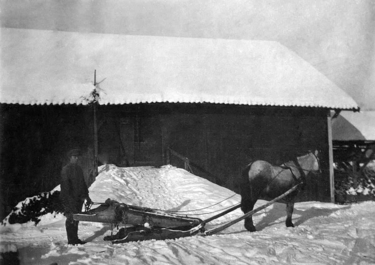 Anno Domkirkeodden, JOHANNES SVEEN, HEST MED TØMMERRUSTNING, BUKK OG GEIT, TRØSKELÅVEN I BAKGRUNNEN, VINTER, RABSTAD
