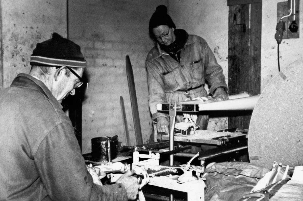 Anno Domkirkeodden, BERGSETT, PELSING AV MINK, FRA VENSTRE: KAARE LINDSTAD OG HENNY LINDSTAD, PELSDYRPRODUKSJON