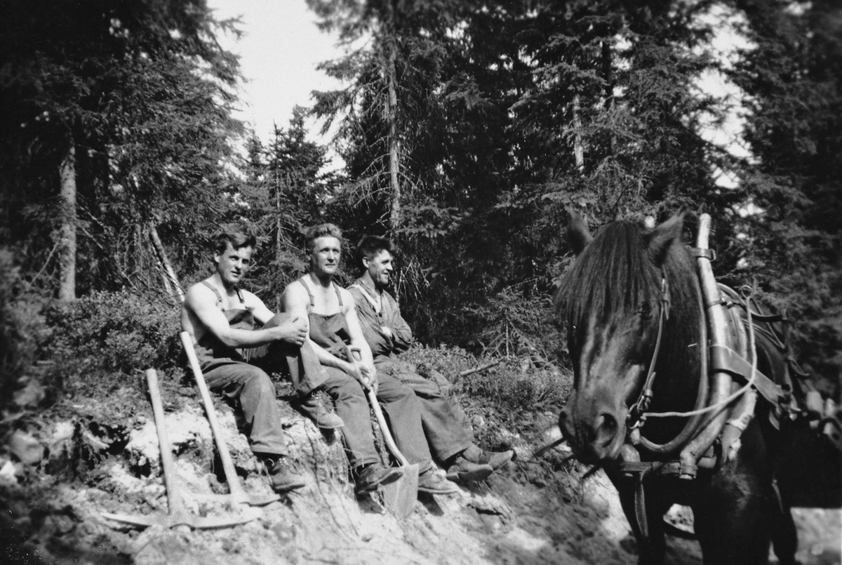 Anno Domkirkeodden, STENBERGSRØNNINGEN. VEGARBEIDERE. ERLING, HÅKON OG LAURITS KARTOMTEN BYGGER VEG. HAKKE, SPADE OG HEST.