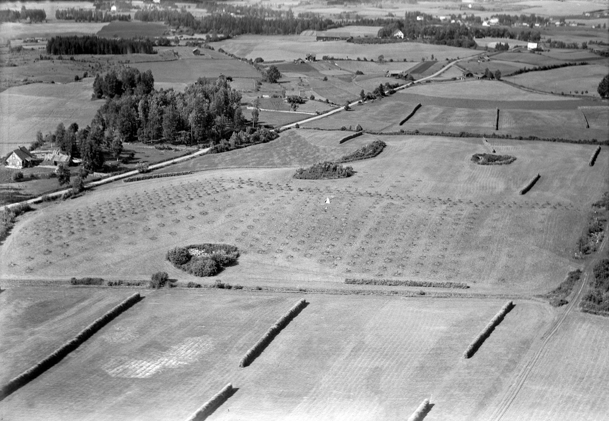Widerøes Flyveselskap A/S, BEBYGGELSE LANGS VEGEN FRA SAKSLUND - GRIMERUD, FRA VENSTRE: ELTONBAKKEN, BRATLIE, EVENSTAD, PINNERUD, ØVRE OG NEDRE SILLERUD, ASPERUD, FLYFOTO. KULTURLANDSKAP, KORNDYRKING OG FRUKTDYRKING. ELTONBAKKEN BLE FLYTTET TIL HEDMARKSMUSEET HØSTEN 1935