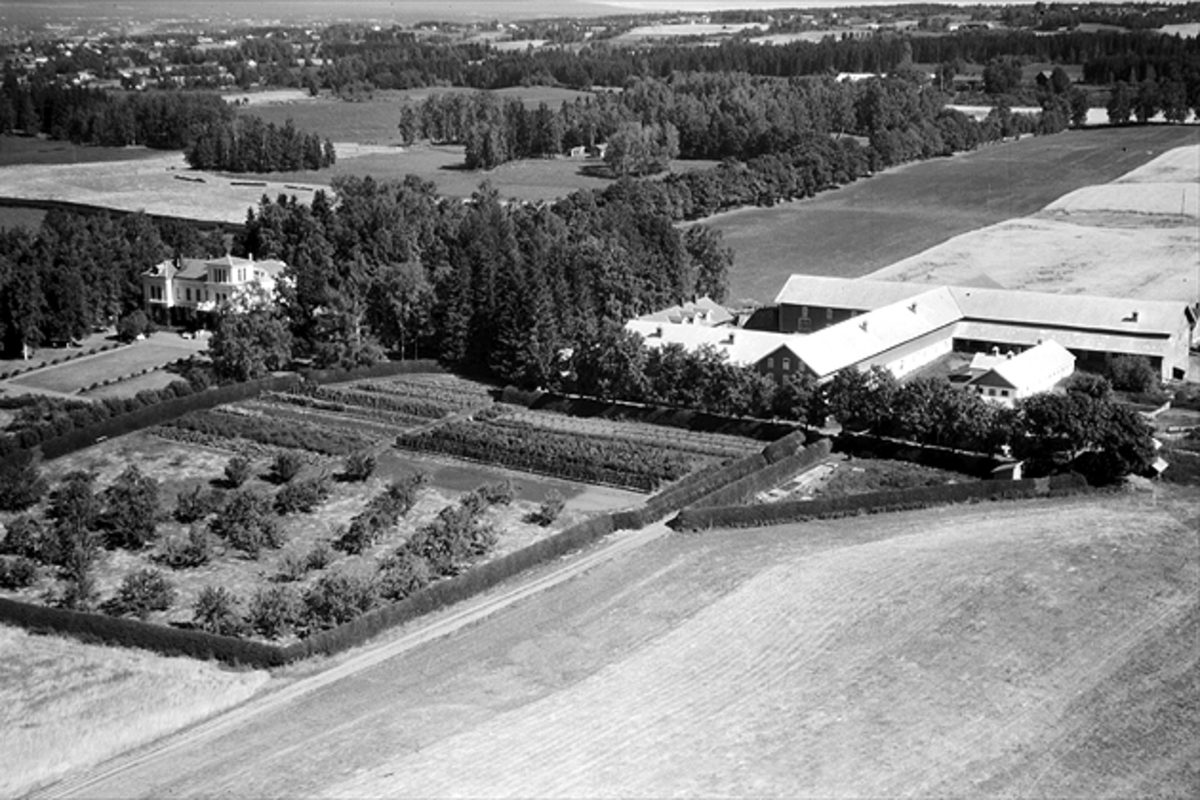 Widerøes Flyveselskap A/S, ATLUNGSTAD GÅRD, FLYFOTO