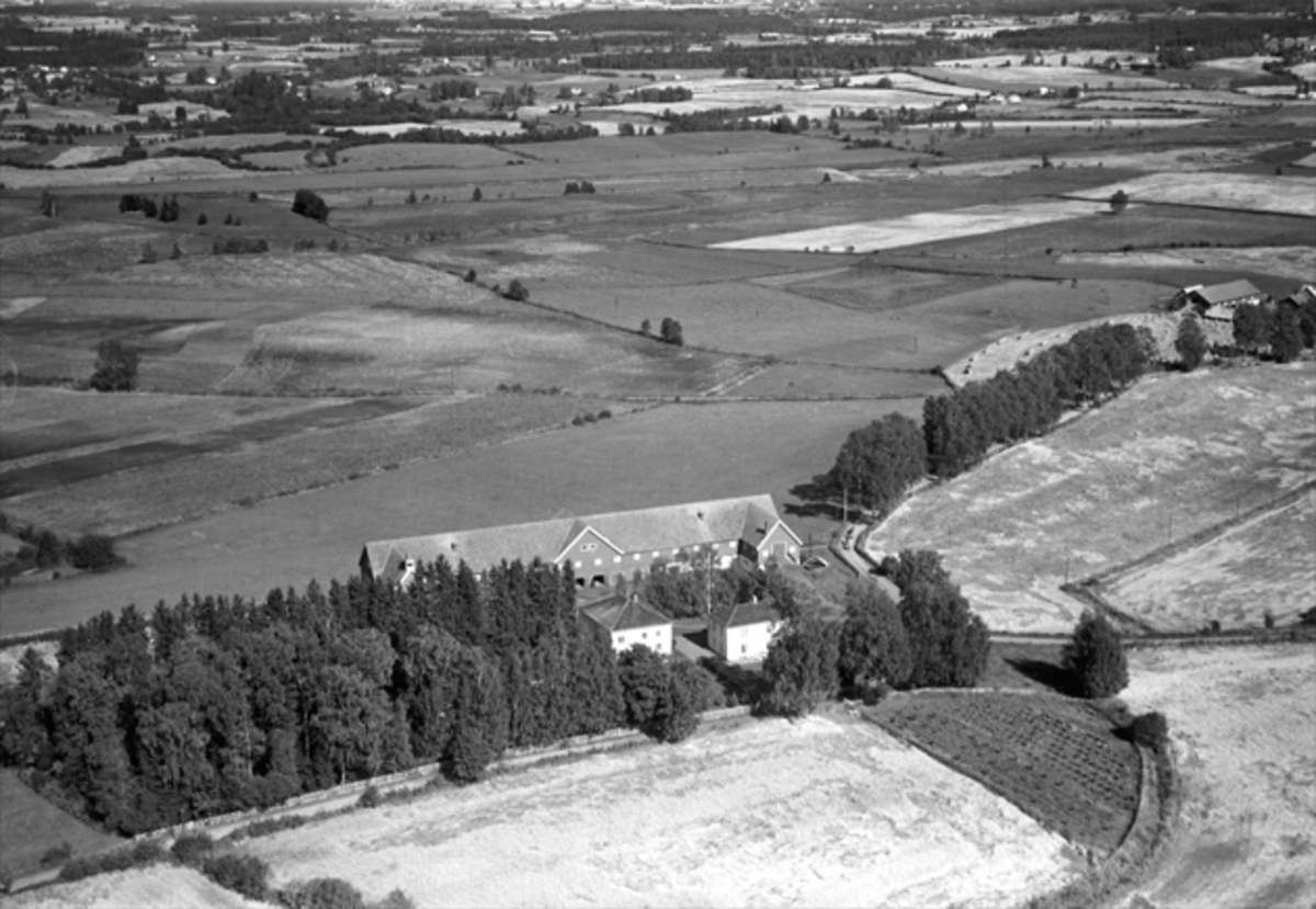 Widerøes Flyveselskap A/S, ØSTBY GÅRD, ROMEDAL, FLYFOTO