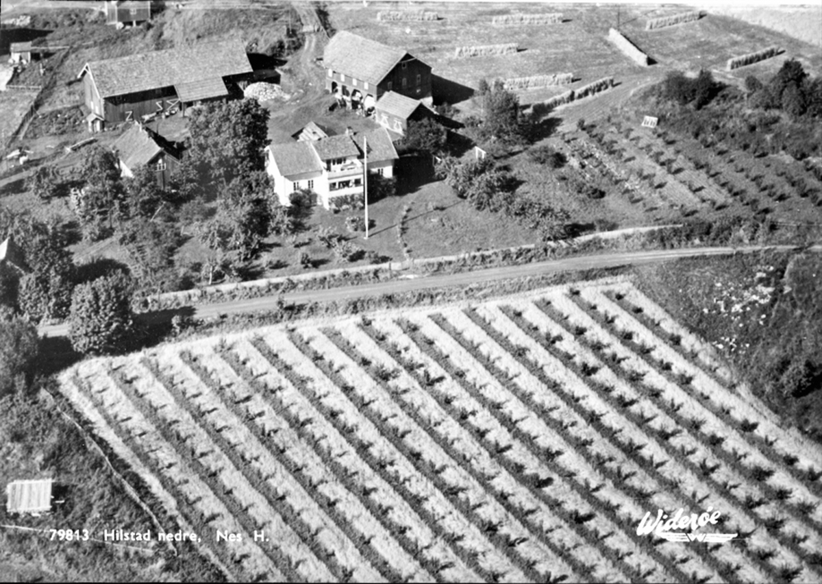 Widerøes Flyveselskap A/S, Flyfoto, gardsbruk, Hilstad nedre, Nes, Hedmark.