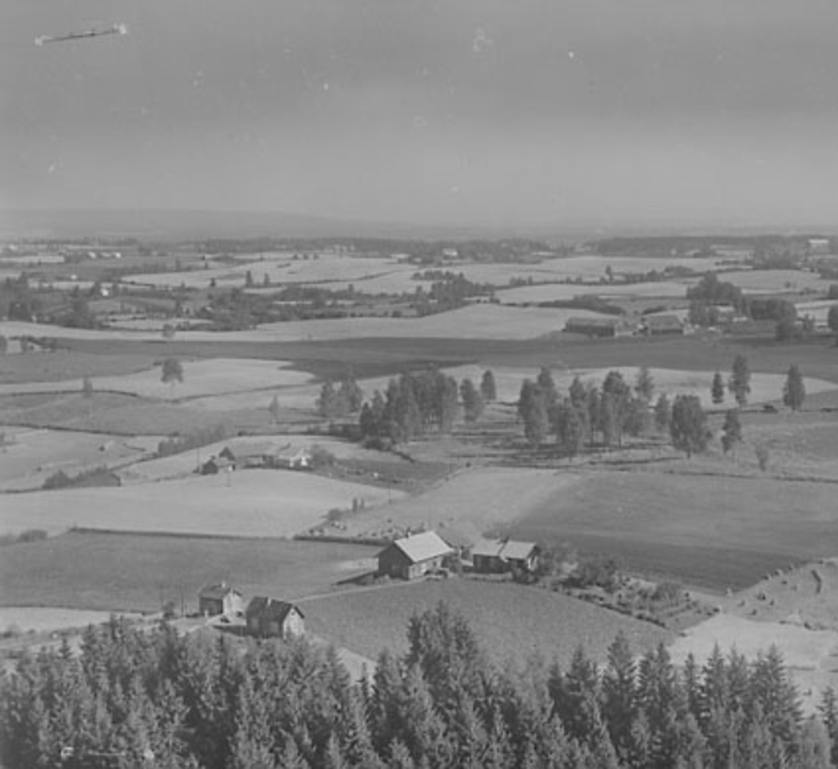 Widerøes Flyveselskap A/S, FLYFOTO TOMTEN, STANGE
